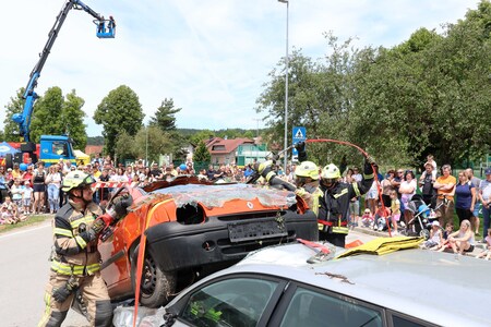 DAN ZAŠČITE IN REŠEVANJA 37 FOTO LJUBO VUKELIČ
